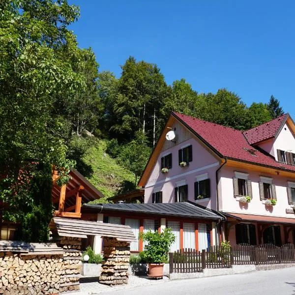 Guest House Gostišče Gačnk V Logu, hotel in Zgornja Sorica