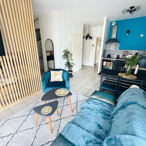 Le Faure - Appartement Centre ville et Jardin 2 personnes, hotel in Valence