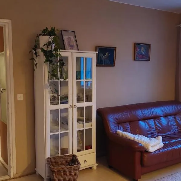 Arctic Landhaus, hotel in Sotkamo