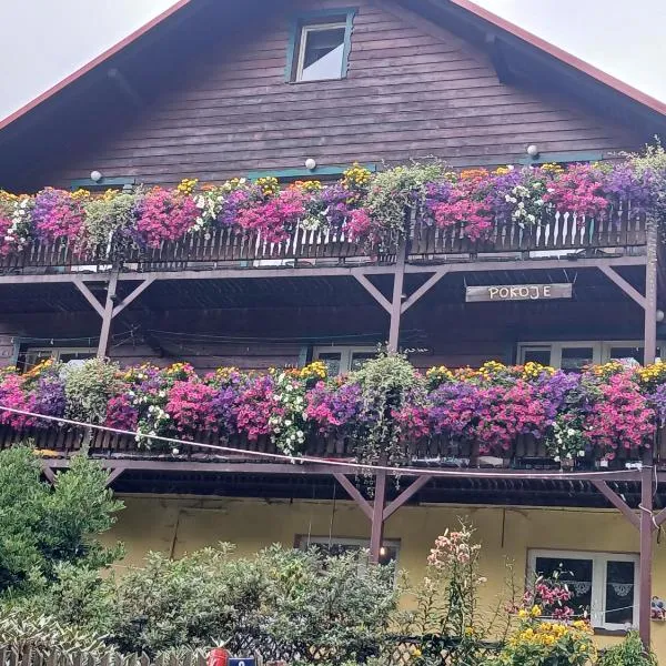 U TKOCZA Agroturystyka, hotel in Wisła