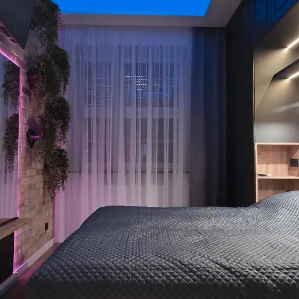 Apartament centrum - loft Plac Piłsudskiego, hotel u gradu 'Gliwice'
