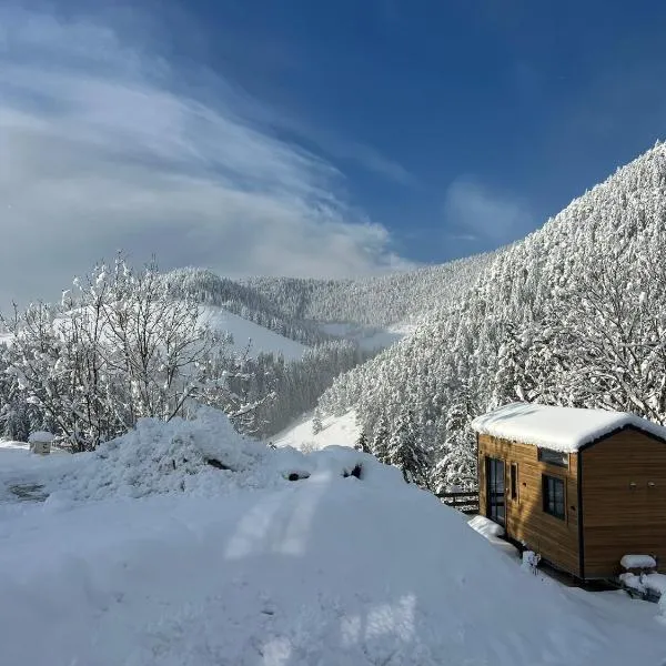 Petit chalet Cosy، فندق في فيلارد دي لانس