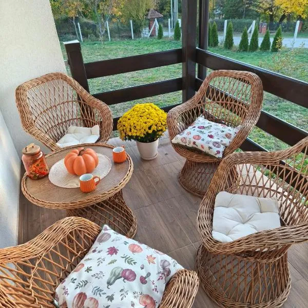 Košutica Vila、Koraćicaのホテル