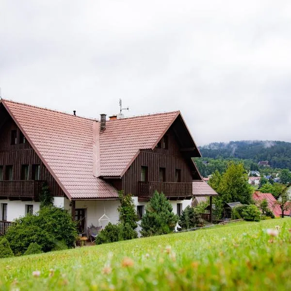 Penzion Seidl, hotel in Rokytnice nad Jizerou