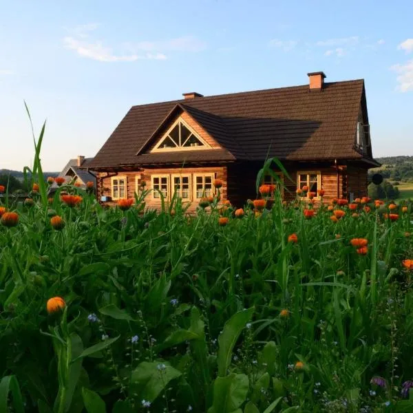 Dom Gościnny Szpilkowo, hotel in Nowica
