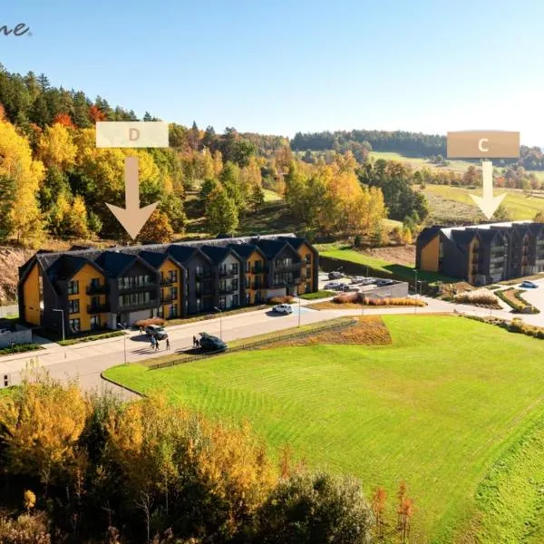 Wonder Hill - klimatyzowane apartamenty z bajkowym widokiem na góry i zalew, z balkonami lub tarasami, hôtel à Sosnówka