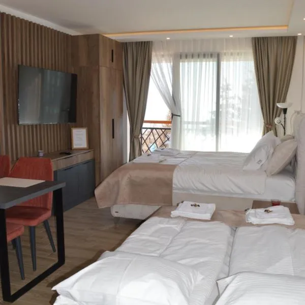 Studio Apartment ViS in Residence Hill Kopaonik, hotel v destinaci Kopaonik