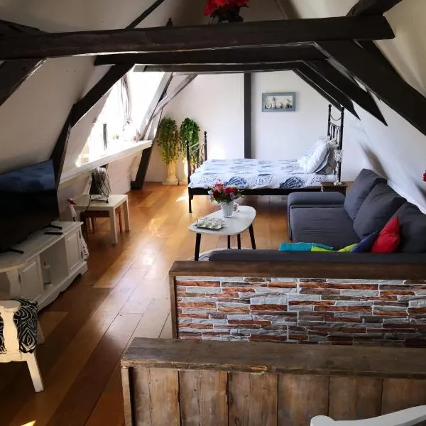 De WitteZwaan, hotell i Harlingen