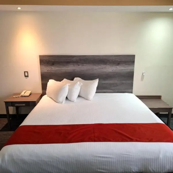 Hotel ALO! Express, ξενοδοχείο σε Τορρεόν