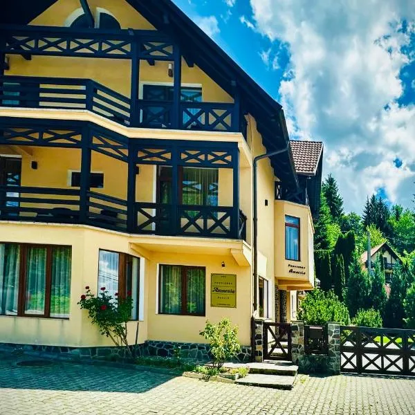 Pensiunea Amnesia, hotel in Sovata