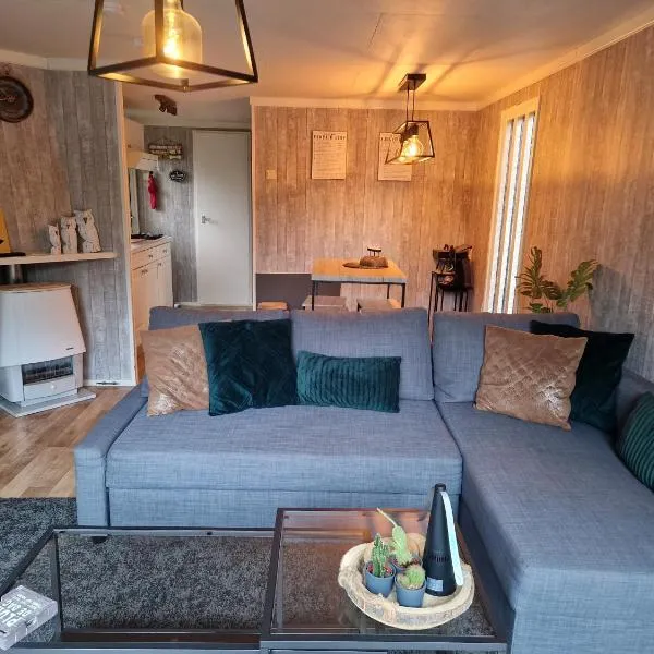 Veluwe Park Reewold-Chalet in Putten voor rust zoeker，位于皮滕的酒店