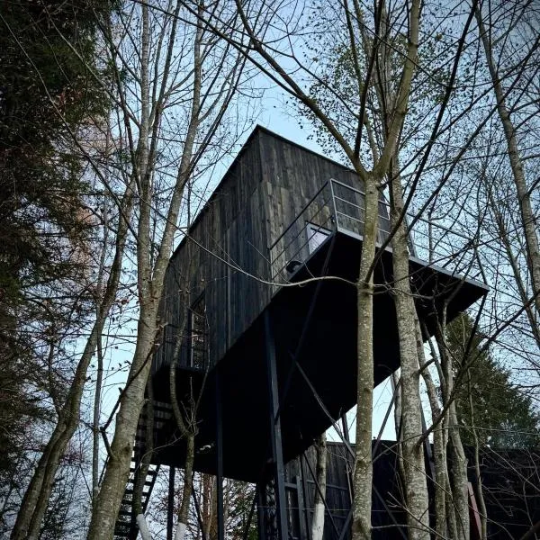 M Cabin Tree house Predeal Ciubar، فندق في بريدال