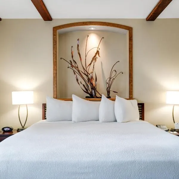 Luxury Collection Hotel、セヴァンのホテル