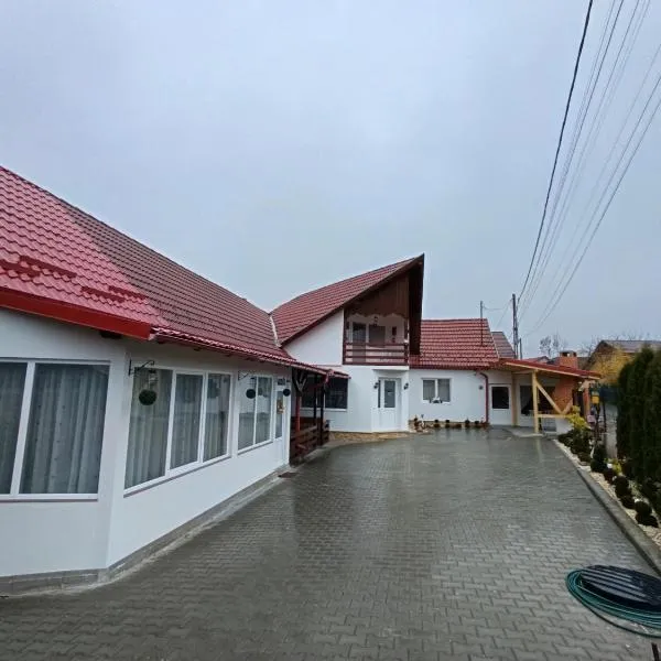 Casa Ioana Întorsura Buzăului, hotel em Brădet