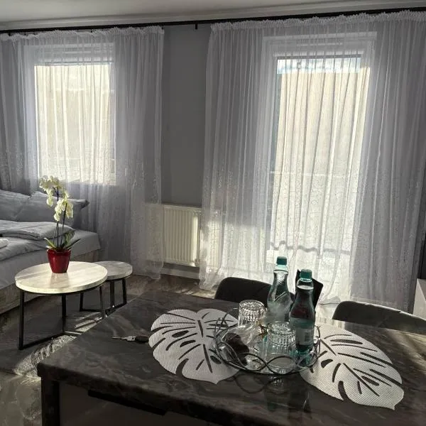 Studio Leszczyńskiego Przemyśl, hôtel à Przemyśl