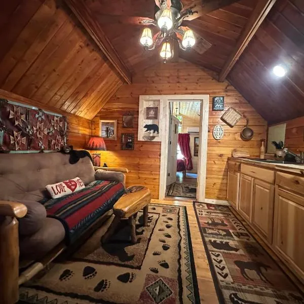 Big Bear Log cabin, ξενοδοχείο σε Cosby