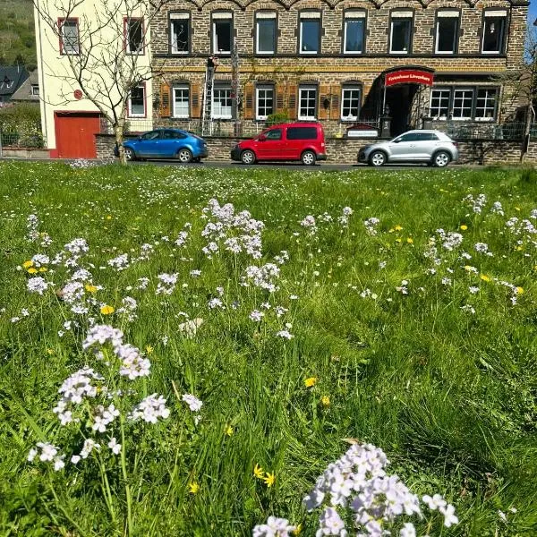 Ferienhaus Löwenherz, hotel em Pommern