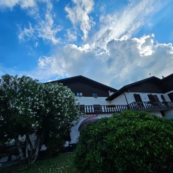 Hotel New Genziana, ξενοδοχείο σε Altavilla Vicentina