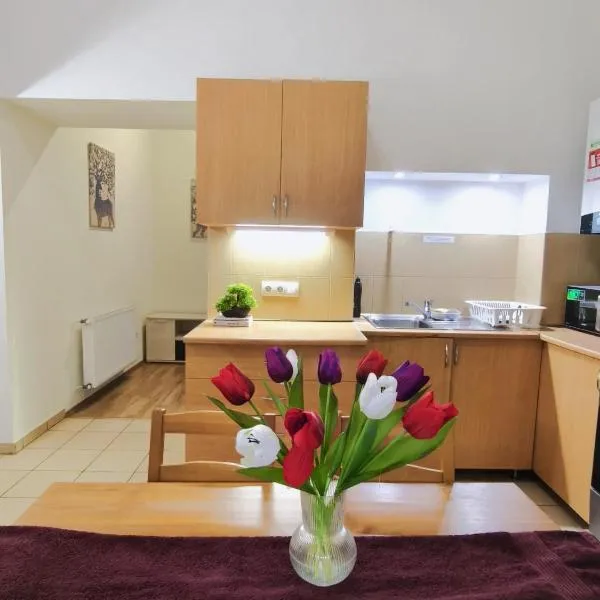 Private Bedroom in Kerepesi Budapest, hotel v Budapešti