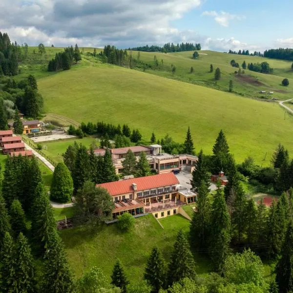 Holiday Park Orava - Hotel Orava, ξενοδοχείο σε Dolný Kubín