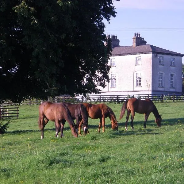 Glebe House, hotel en Taghshinny