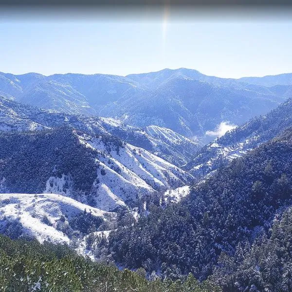 Hotel Royal Cedar Simla, hotell i Shimla