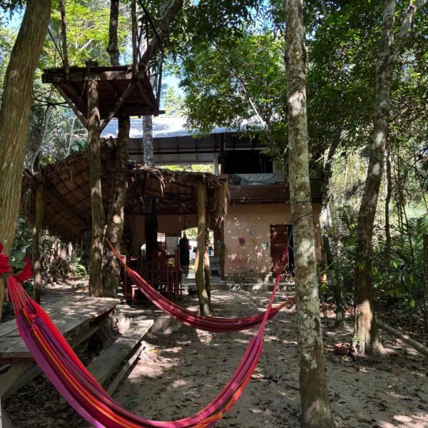 Heliantos - Foto 5