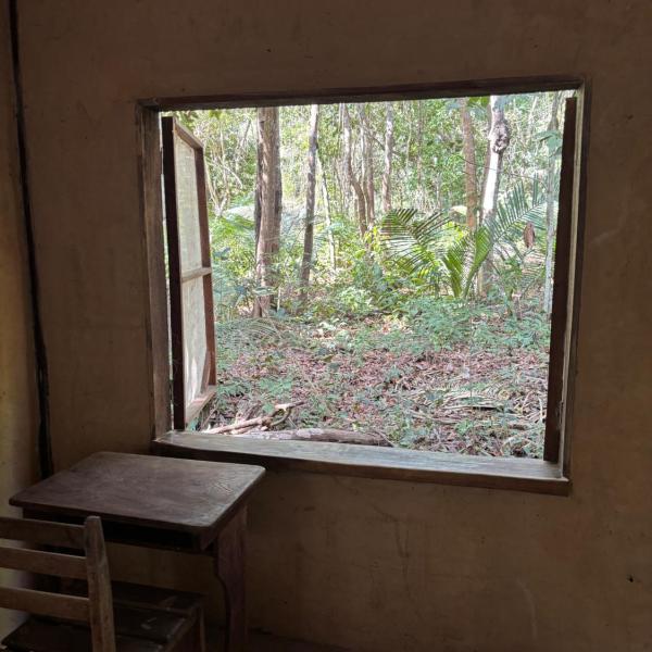 Heliantos - Foto 4