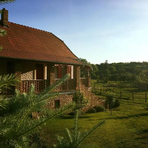 Szellő Porta, hotel in Berkesd