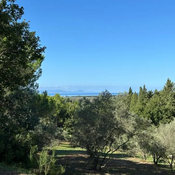 A CASA DI LEO B&B Country House, hotel in Scarlino