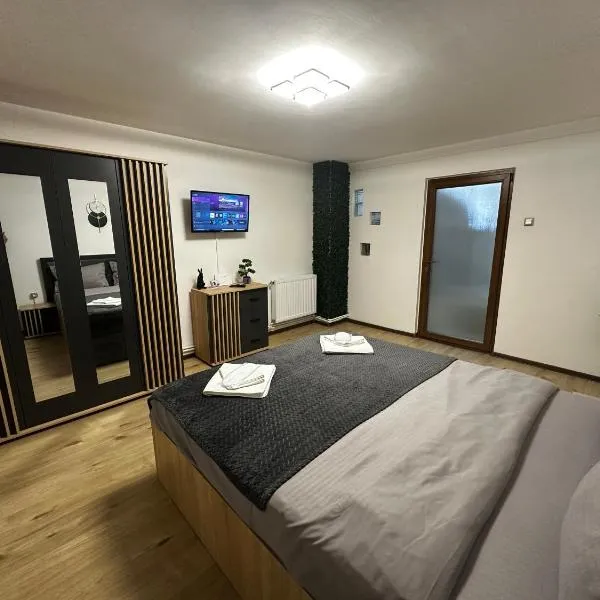 Central Studio, Hotel in Piteşti