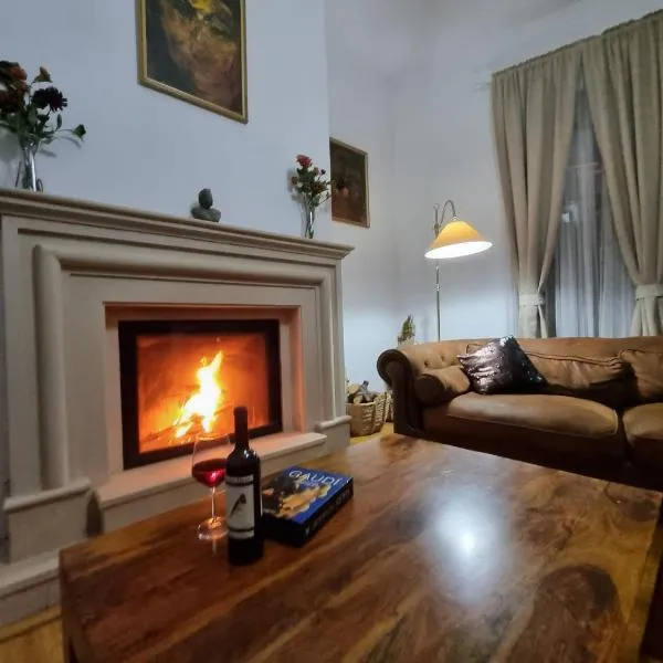 Central House Craiova, hotel in Craiova