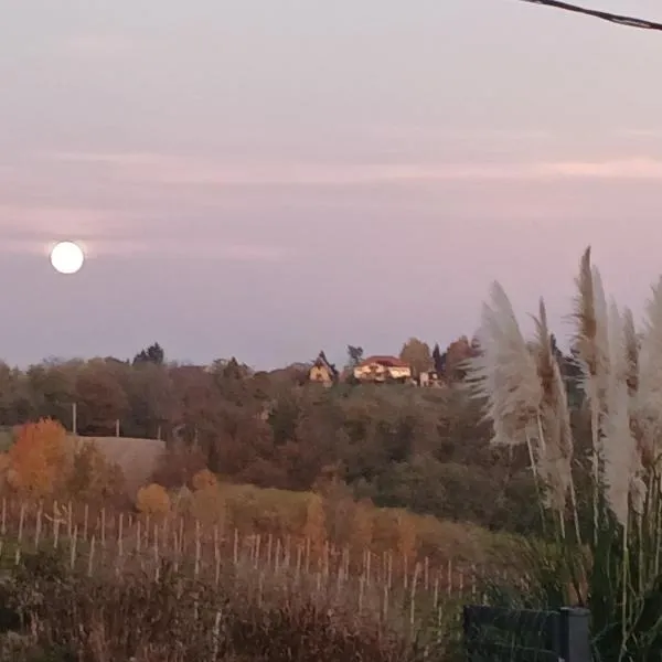 Tweet Apartments with Sauna and optional Breakfast Close To Terme Sveti Martin, hotel v destinaci Štrigova