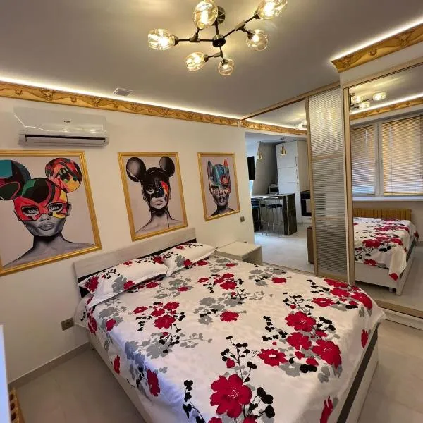 Central Park Rentals، فندق في كيشيناو