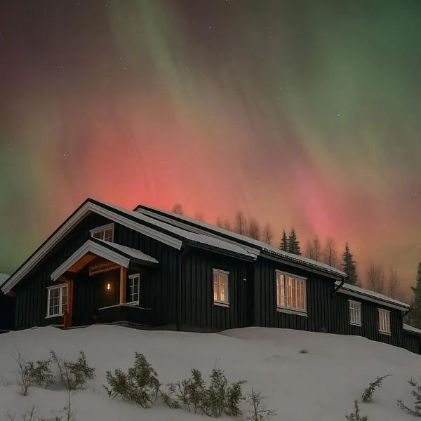 Newly renovated cabin in Nesfjellet, Nesbyen, hotell sihtkohas Nesbyen