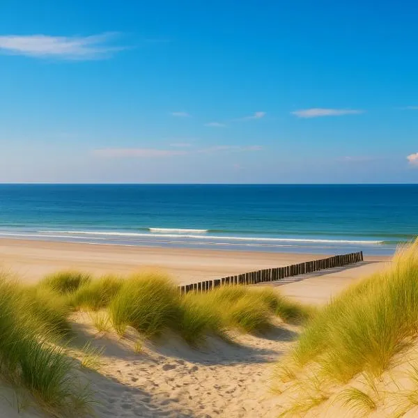 Premium-Strand Chalet an der Nordsee - Noordzee - Zeeland、ブレスケンスのホテル