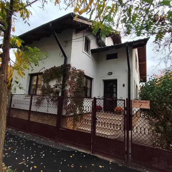 Casa Paul, hotel in Craiova