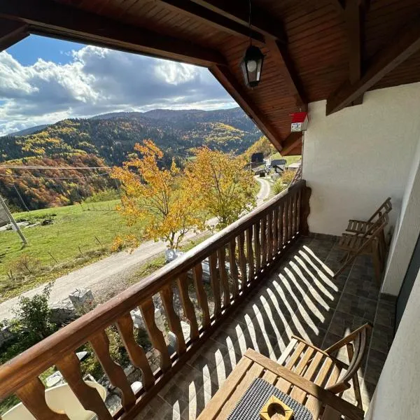 Apartmani Dunja Zlatar, готель у місті Нова-Варош