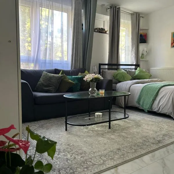 Cosy Studio in Vibrant Brixton, hotel a Londra