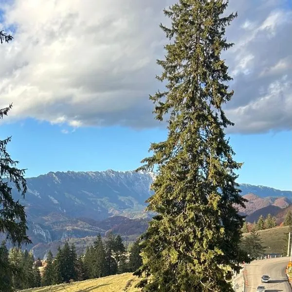 Virajlux, khách sạn ở Dîmbovicioara