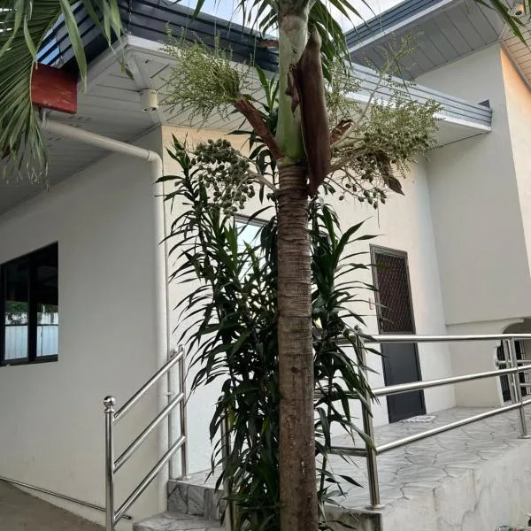 Northern Belle guesthouse, hotel v destinaci San Fernando