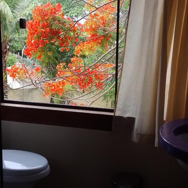 Propriedade Devas - Foto 3