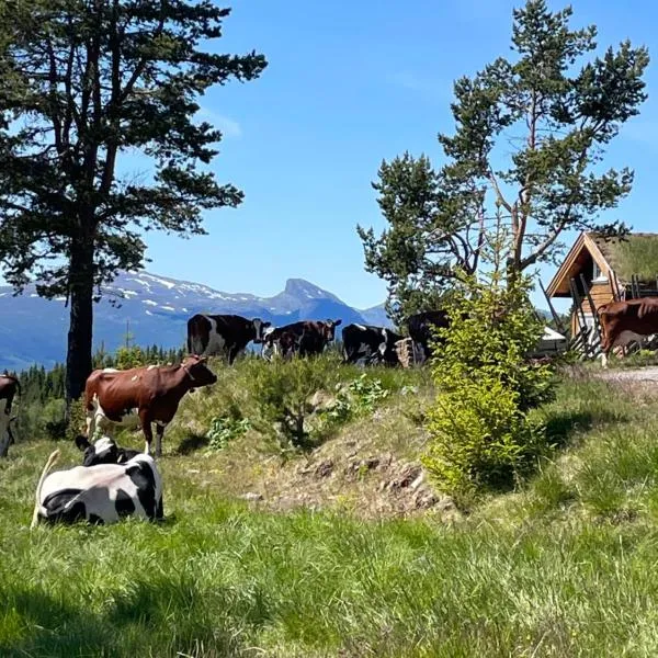 Løstegård Cabins, hotell i Gol