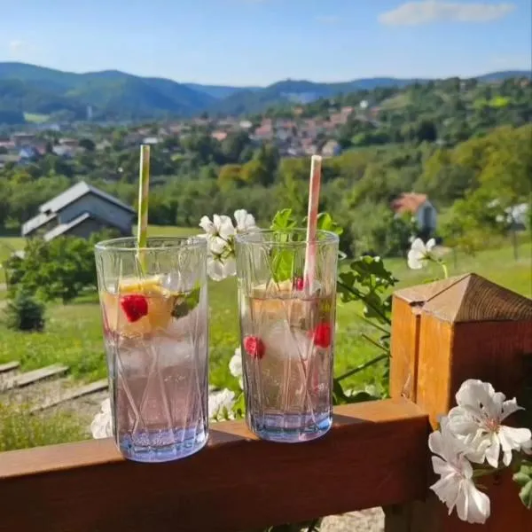 Brvnara Vrdnik, hotel in Vrdnik