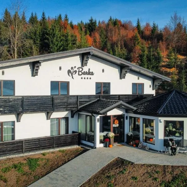 Barka, hotel v destinaci Borsec
