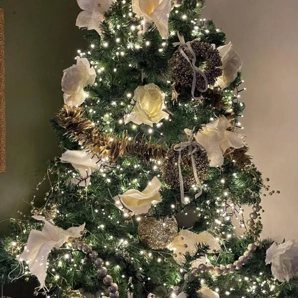 Hôtel Restaurant Verger des Châteaux, Route des vins Haut-Koenigsbourg, hotel in Dieffenthal