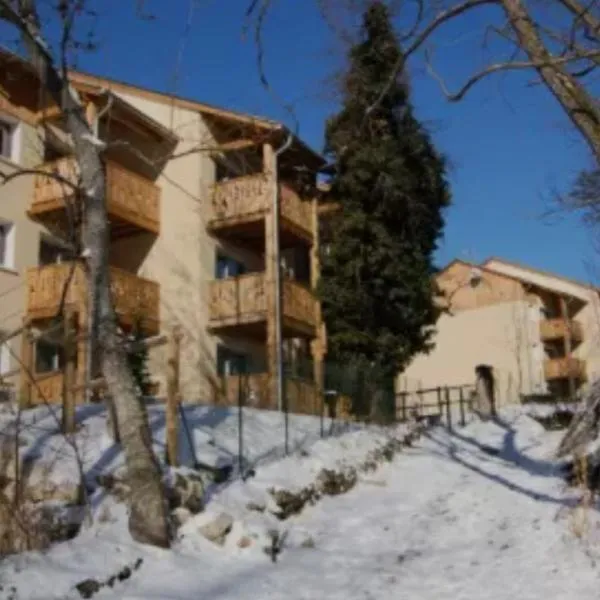 Résidence DOMAINE DE LA VALEE D'AX, hotel in Ax-les-Thermes