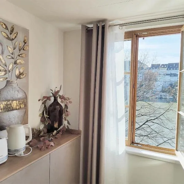 Casa Rheinblick - Apartment C, Hotel in Basel