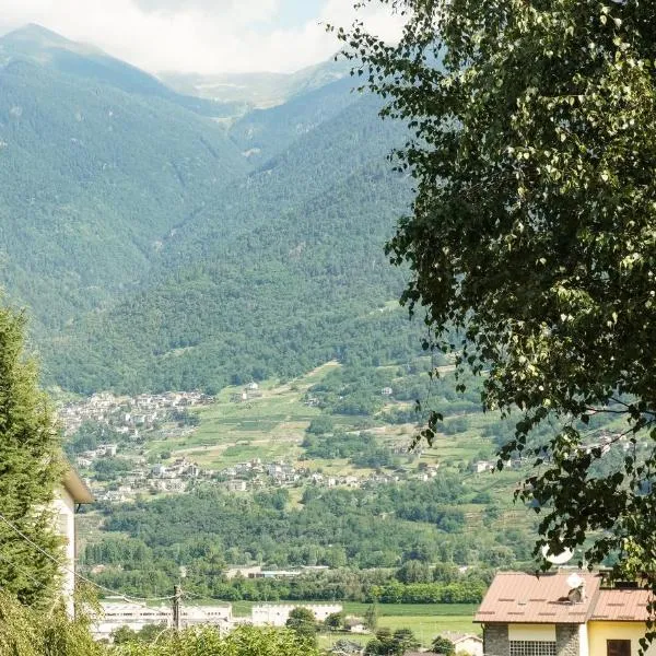 Il cuore della Valtellina - giardino privato, viešbutis mieste Caiolo