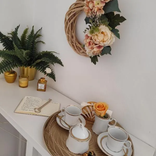 Calin Apartment, hotel v Turíně